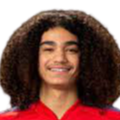 https://img.zzjc3d.com/img/football/player/87359ed9061cfd73513d827263deebcd.png