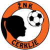 https://img.zzjc3d.com/img/football/team/26a677efcdd89a3407b165d3b180819e.png